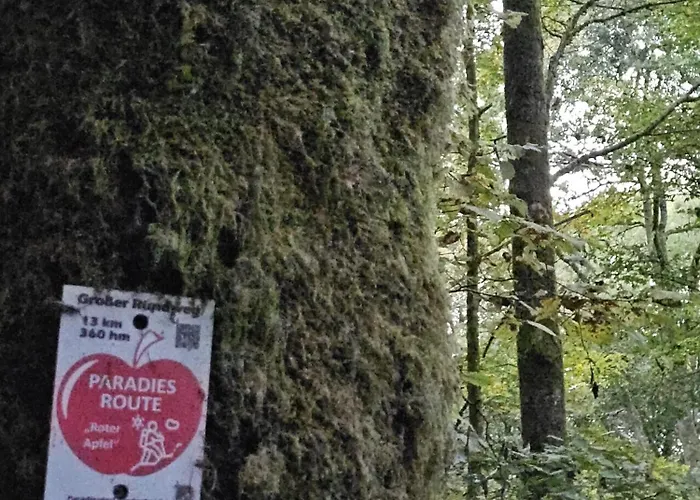 Gemuetliche Im Westerwald - 