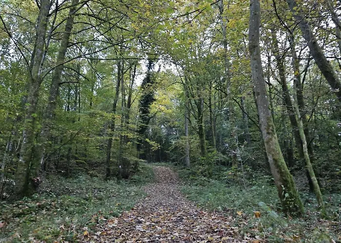 דירה Gemuetliche Im Westerwald - 